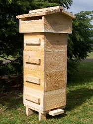 Red Cedar Warre Garden Hive Red Cedar Warre Garden Hive